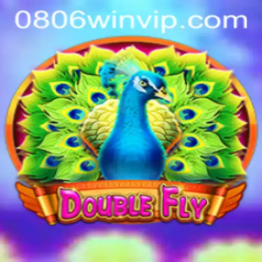 Exploring DoubleFly: The Innovative Game Experience